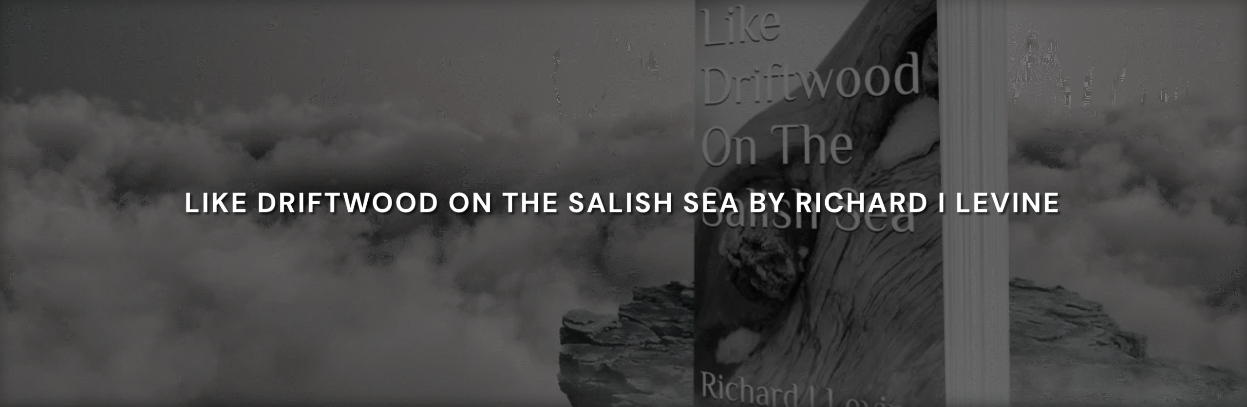 Read more about the article Like Driftwood On The Salish Sea